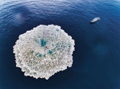 战斗力需求同样是科技创