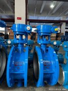 成为行业内备受瞩目的两