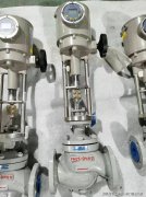 2024年国家“双碳”目标相