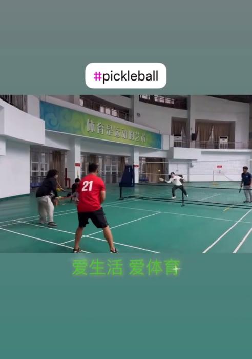 樊振东、容祖儿都在玩，匹克球是个什么球？