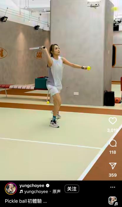 樊振东、容祖儿都在玩，匹克球是个什么球？